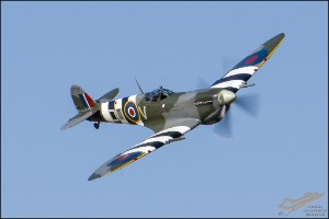 NZ6_3311